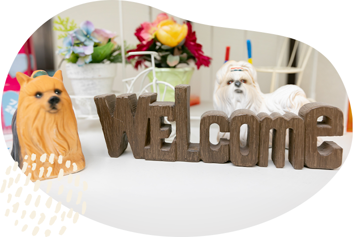 GUIDE 初めての方へ